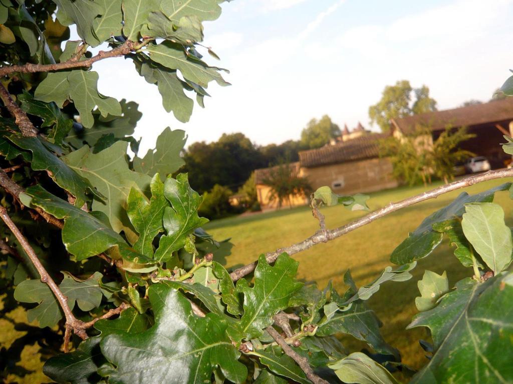 Bed & Breakfast - Maison De Marie Messimy-sur-Saone Экстерьер фото