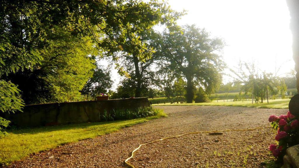 Bed & Breakfast - Maison De Marie Messimy-sur-Saone Экстерьер фото