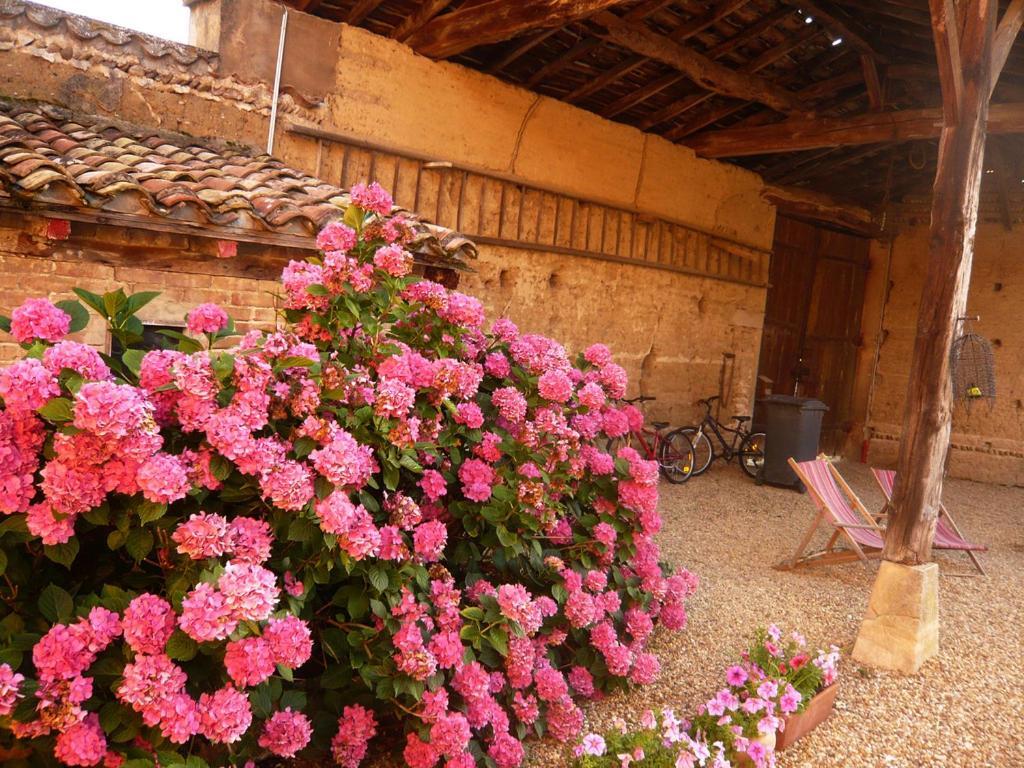 Bed & Breakfast - Maison De Marie Messimy-sur-Saone Экстерьер фото